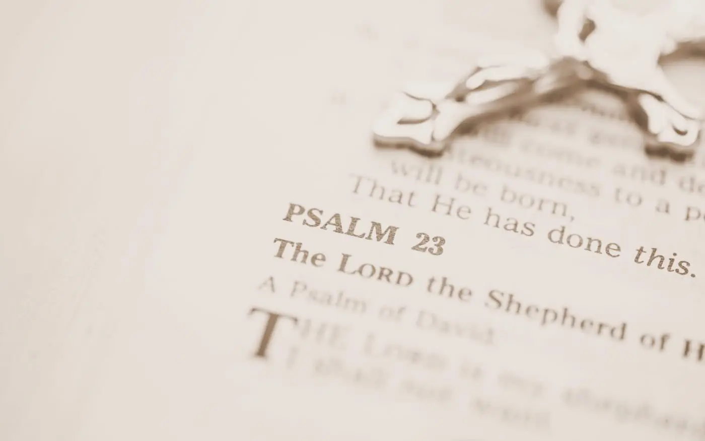 31 Key Psalms (for Bible Study)