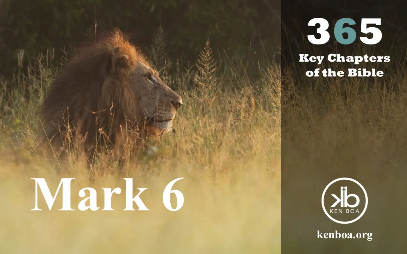 365 Key Chapters of the Bible: Mark 6