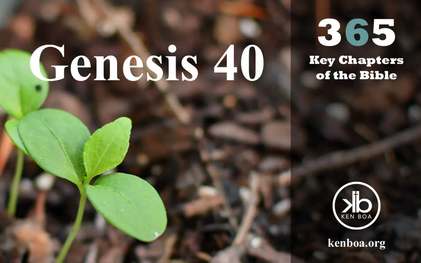 365 Key Chapters of the Bible: Genesis 40