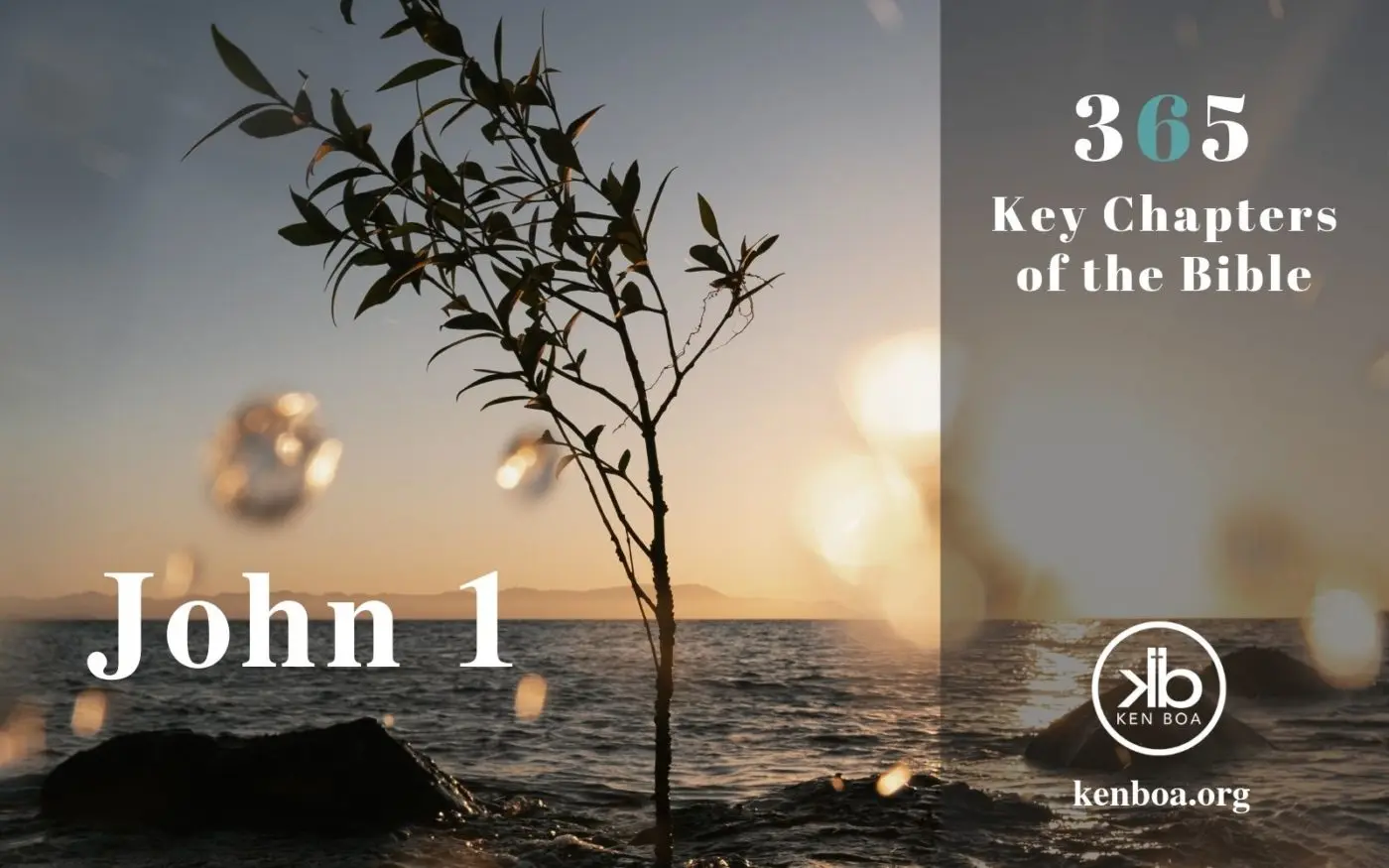 365 Key Chapters of the Bible: John 1