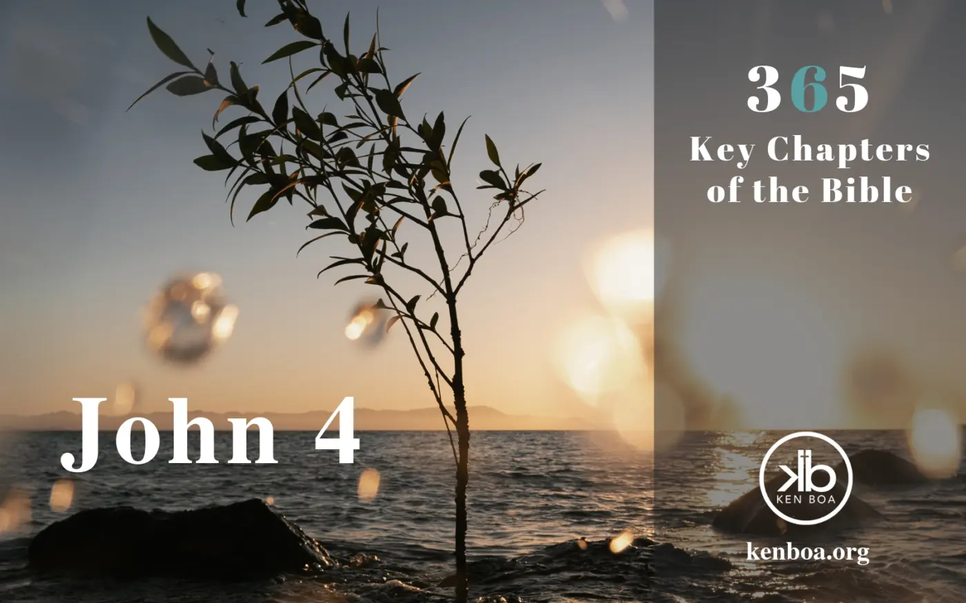 365 Key Chapters of the Bible: John 4