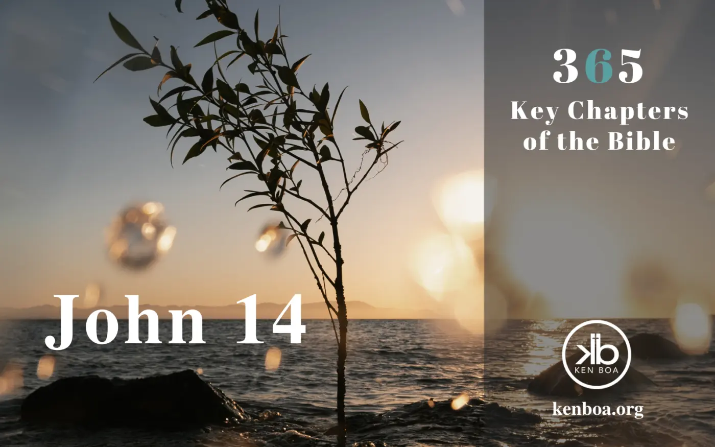 365 Key Chapters of the Bible: John 14