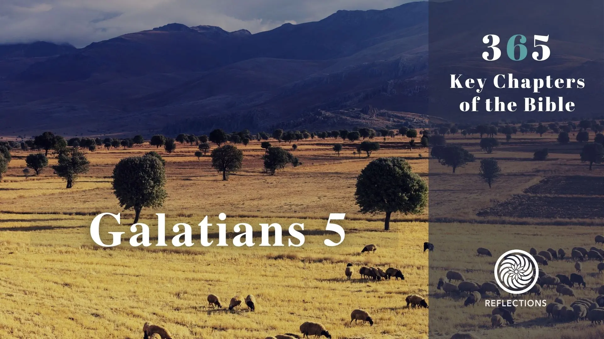 Galatians 5: Freedom from the Law