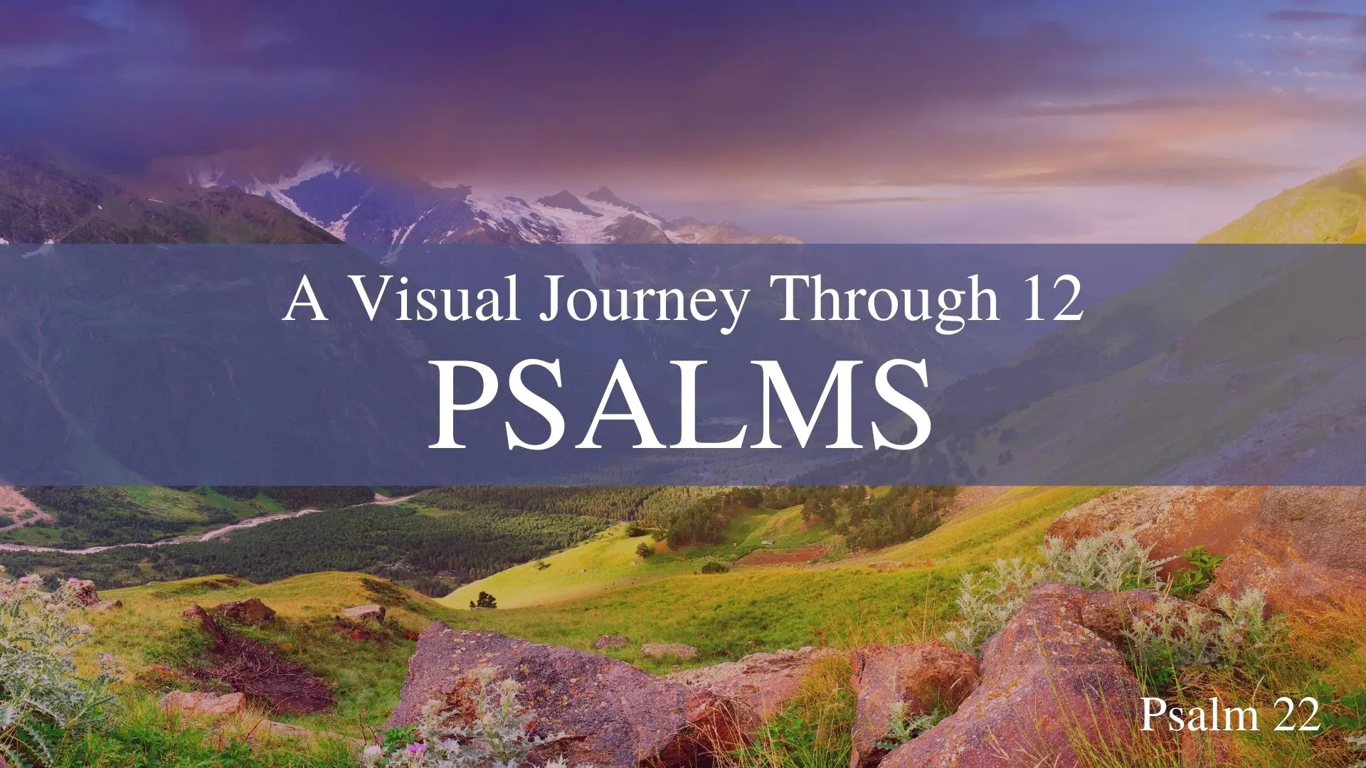 Psalm 22: A Biblical Response to Adversity